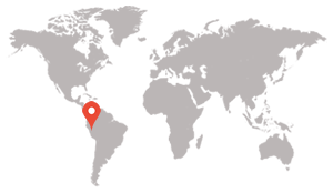 https://tecnoserv.com.pe/wp-content/uploads/2021/10/mapa-300x174-1.png